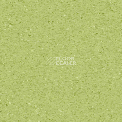 Линолеум Tarkett iQ Granit SOFT KIWI 0750 фото 1 | FLOORDEALER